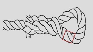 Cold caseteam onderzoekt vondst van romp