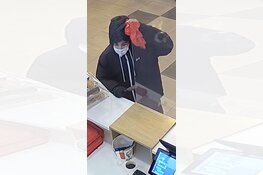 Gezocht - Gewapende overval fastfoodrestaurant Gulden Winckelplantsoen