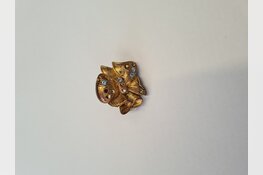 Eigenaren sieraden gezocht