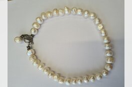 Eigenaren sieraden gezocht