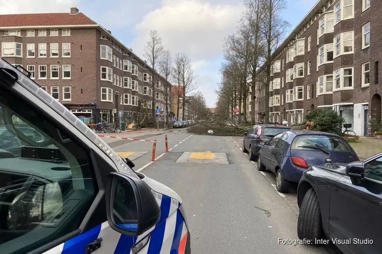Persoon overleden door omgevallen boom op Aalsmeerderweg