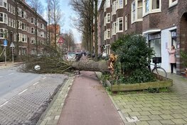Persoon overleden door omgevallen boom op Aalsmeerderweg