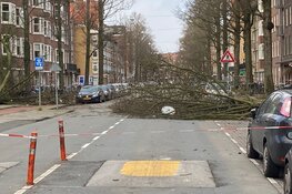 Persoon overleden door omgevallen boom op Aalsmeerderweg