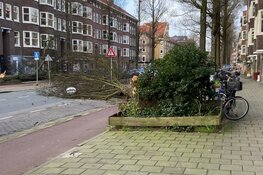 Persoon overleden door omgevallen boom op Aalsmeerderweg