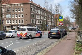 Persoon overleden door omgevallen boom op Aalsmeerderweg