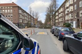 Persoon overleden door omgevallen boom op Aalsmeerderweg