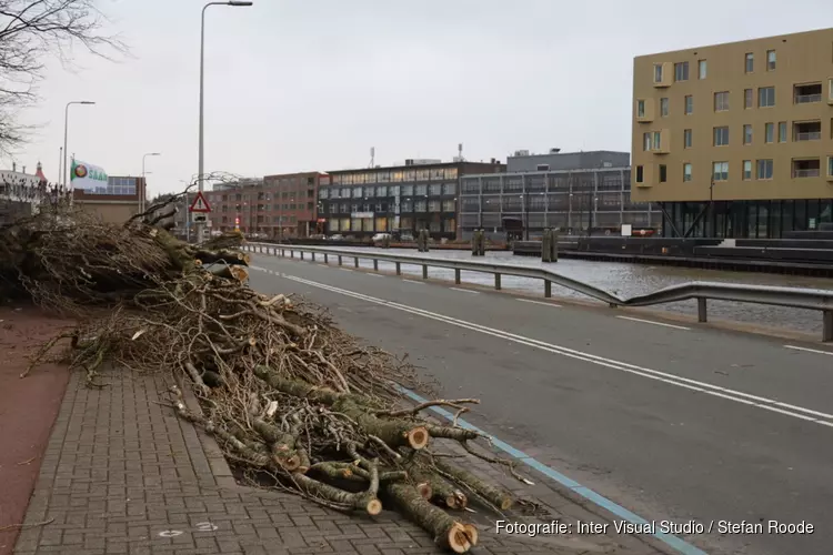 Dode door omgevallen boom in Diemen