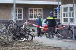 Boom valt op fietser op Vrijheidslaan, fietser overlijdt