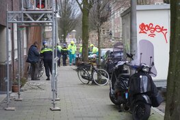 Boom valt op fietser op Vrijheidslaan, fietser overlijdt