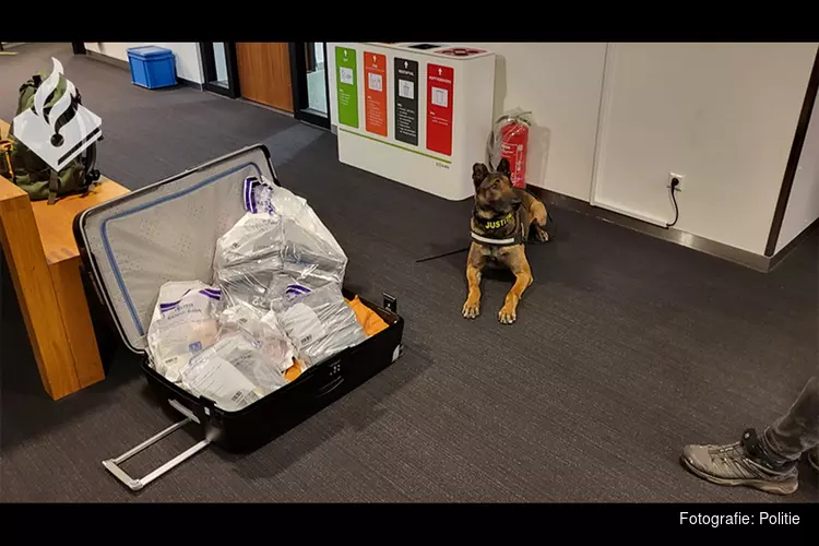 Man aangehouden met ruim twintig kilo cocaïne in bagage