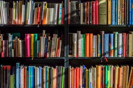 Literaire rondleiding ‘Eerste Liefde in Amsterdam’