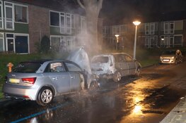 Twee auto&#39;s door brand verwoest in West