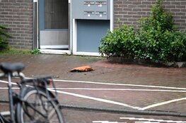 Bewoners uit brandende woning gered