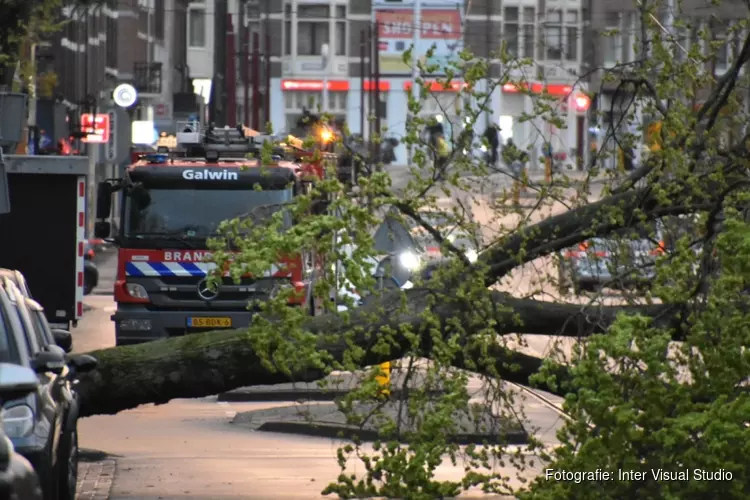 Boom valt op trambaan in Amsterdam-Oost