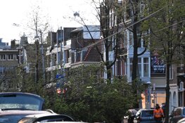 Boom valt op trambaan in Amsterdam-Oost