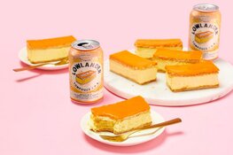 Oranje boven met de limited edition oranje Tompouce I.P.A. - Dé eenmalige oranje editie van het legendarische HEMA-tompouce biertje i.s.m. Lowlander