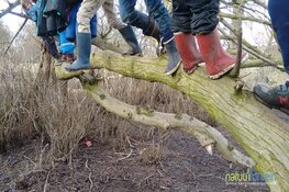Eerste buiten-BSO van Amsterdam viert 10-jarig jubileum