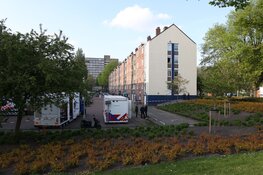 Overleden persoon aangetroffen in woning Hoek van Hollandstraat