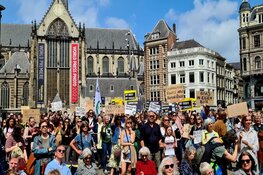 Ordeverstoring tijdens vreedzame demonstratie op De Dam