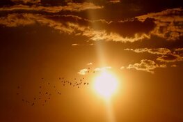 Warmte houdt komende week aan, maar wel met verhoogde buienkans