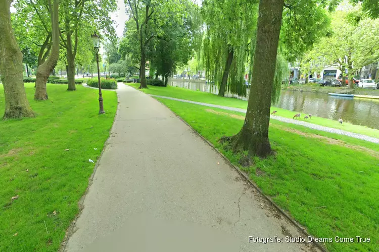 Tenten van hond en dakloze baas gestolen in centrum!