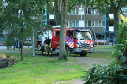 Hond gered bij brand in Amsterdam-Noord