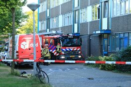 Hond gered bij brand in Amsterdam-Noord