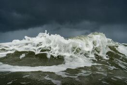 Mens op Zee zet fotocollectie Het Scheepvaartmuseum in nieuw daglicht
