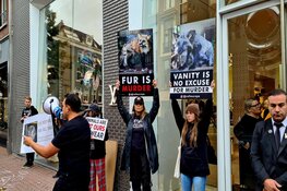 Demonstratie tegen bont in PC Hooftstraat