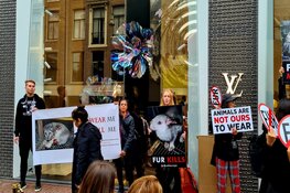 Demonstratie tegen bont in PC Hooftstraat