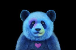 Koh Sang Woo – Wild in Blue