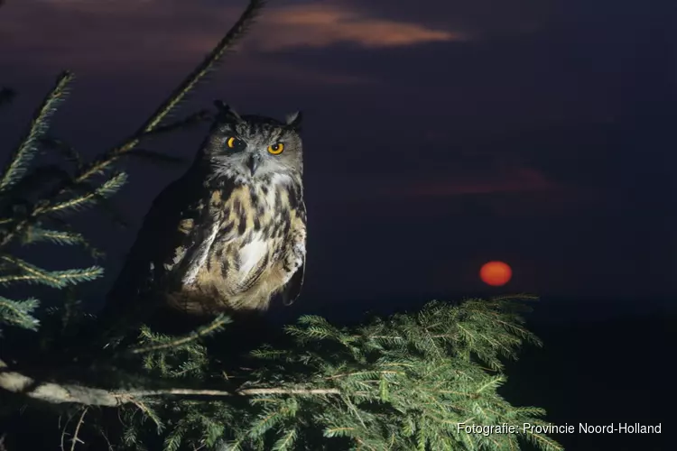 Eerste editie Nacht van de Noord-Hollandse Natuur