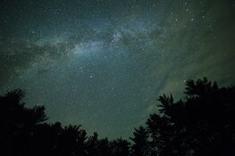 Eerste editie Nacht van de Noord-Hollandse Natuur