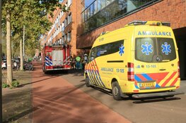 Dieren dood aangetroffen in kliniek op IJburg