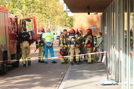 Dieren dood aangetroffen in kliniek op IJburg