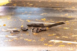 Bestelbus tegen taxi gereden op Willem de Zwijgerlaan