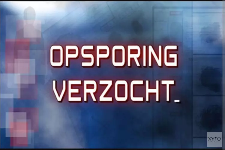 Gezocht: Steekincident Singel