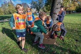 Scholieren planten bollen voor Tulp Festival 2023
