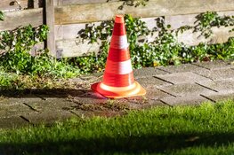 Bejaarde vrouw overvallen in woning