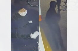 Wie zijn deze twee mannen die verantwoordelijk zijn voor een plofkraak op de iepenweg?