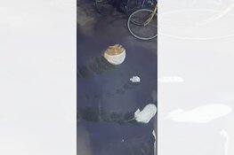 Wie zijn deze twee mannen die verantwoordelijk zijn voor een plofkraak op de iepenweg?