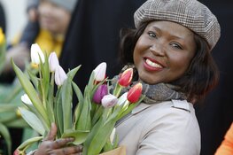 Vrolijk tulpenfeest in Amsterdam