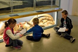 IJmuider Zee- en Havenmuseum extra open in kerstvakantie