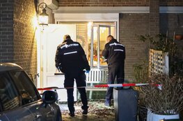 Betrapte inbreker steekt bewoner neer