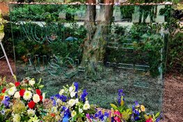 Bloemenzee en eindelijk weer publiek bij Nationale Holocaust Herdenking