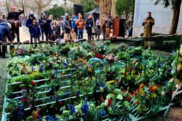Bloemenzee en eindelijk weer publiek bij Nationale Holocaust Herdenking