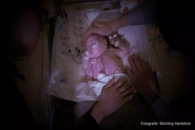 Denk met uw hart, geef met uw hart en red kinderlevens