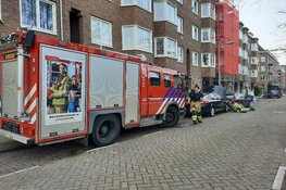 Kat bevrijd uit motor van auto