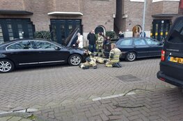 Kat bevrijd uit motor van auto