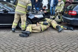 Kat bevrijd uit motor van auto